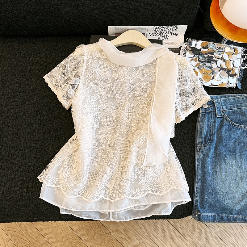 Elegantes Spitzenhemd mit Loch – Embroidery Unique Design Bewertung und Preis